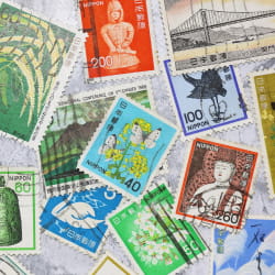 ギャラリー画像5